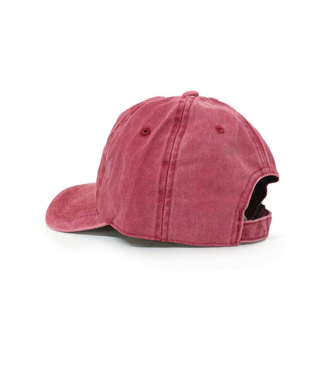 Dinosaur Dad Hat + T-Rex Kids Hat Bundle