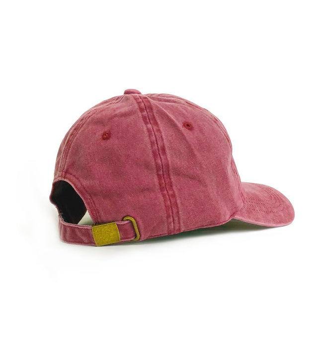 Dinosaur Dad Hat + T-Rex Kids Hat Bundle